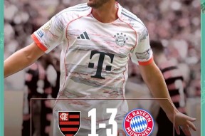 pocket game-包含今夜突围战来临，拜仁慕尼黑围绕CBA季后赛复出首秀，目标明确，资深球员宣示担当的词条-pocket game